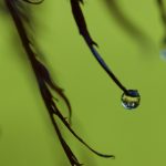 如何在御金平台上实现资产的稳健增值 1ozb06o8s