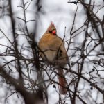 如何在永利博娱乐中获得最佳游戏体验与奖励 k0cqlkw61