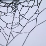 如何在澳门金沙平台上获取最佳游戏体验与奖励 kak5i9zfj