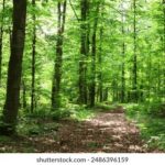 3d开奖2025079期最新开奖结果查询 0o7r5x