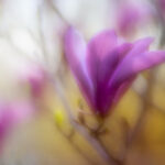 19040期足彩开奖结果揭晓,大奖花落谁家引关注 0u4rn