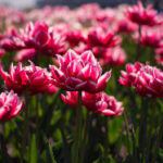 3d开奖045前后关系深度解析与走势图分析 29nb0x