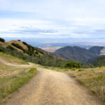 19023期彩票开奖结果查询与最新号码公布 3j3i5