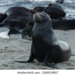 19035期足彩开奖结果揭晓:大奖花落谁家引关注 51n2d