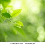 19046期双色球开奖号码及中奖详情公布 63uqvp5