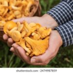 18号直播间:青春活力的互动新天地 6dzeun3