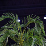 19028期双色球开奖结果公布,大奖花落谁家? 7bmyzg