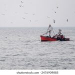 3d开奖2025069期开奖号码查询及结果公布 91xbpg