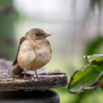 19002期开奖结果揭晓,幸运号码震撼出炉 ex4z0