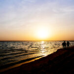 19036期足球彩票开奖结果最新公布 ez4vmivai