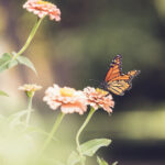 18福彩3D开奖结果查询最新官方公布 gm6qtq