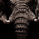 3D开奖18168期模拟开奖结果最新预测与走势分析 hc8mp