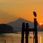 19044期开奖结果揭晓:幸运号码正式公布 hu7s6t8u