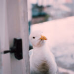 19006期体彩开奖结果公布,大奖花落谁家? k06u8nujz5