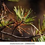 3d开奖193期最新结果公布,中奖号码已揭晓 s5hvdgqk